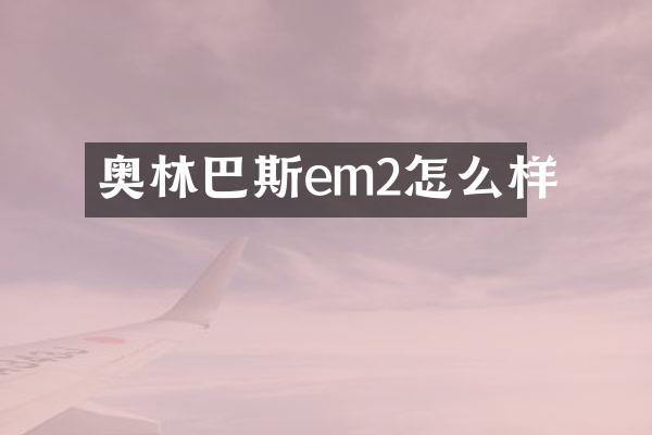 奥林巴斯em2怎么样