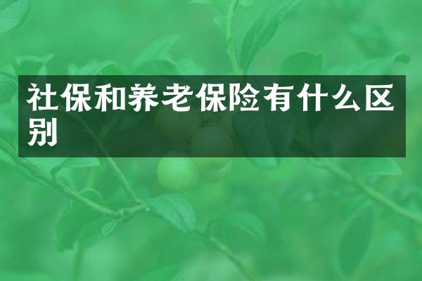 社保和养老保险有什么区别