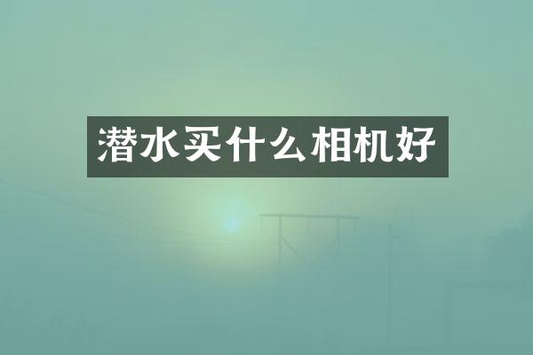 潜水买什么相机好