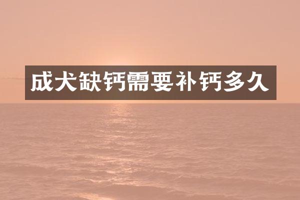 成犬缺钙需要补钙多久