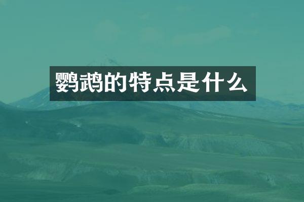 鹦鹉的特点是什么