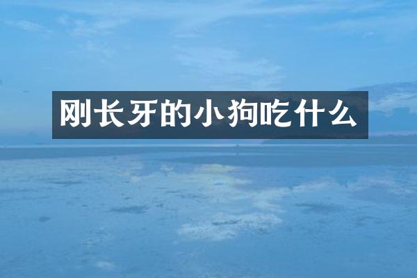 刚长牙的小狗吃什么