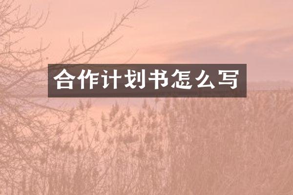 合作计划书怎么写