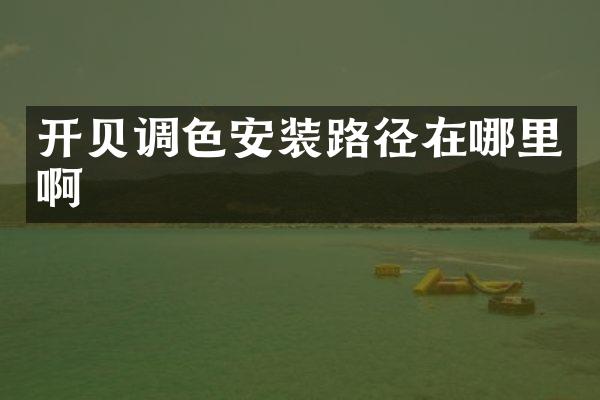 开贝调色安装路径在哪里啊
