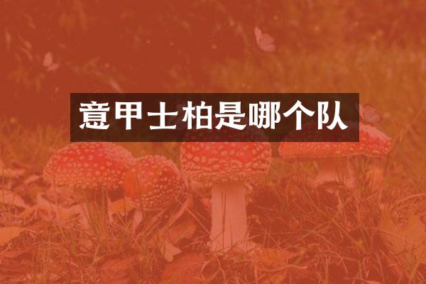 意甲士柏是哪个队
