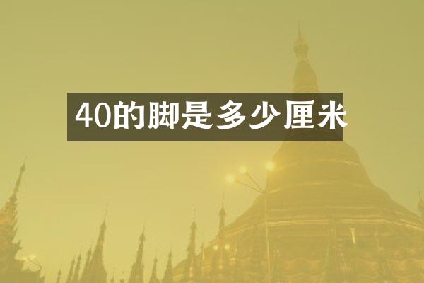 40的脚是多少厘米