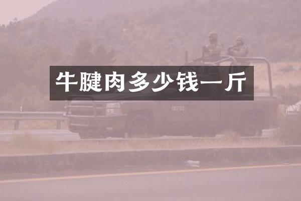 牛腱肉多少钱一斤