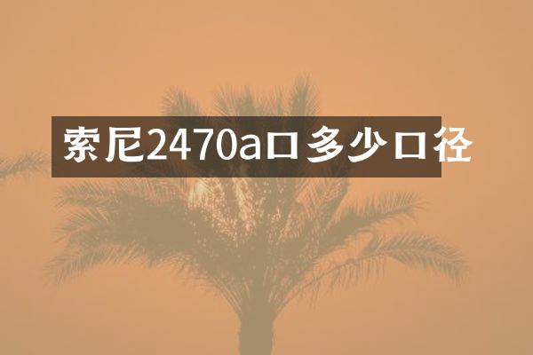 2470a口多少口径