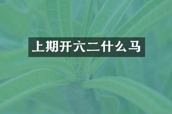 上期开六二什么马