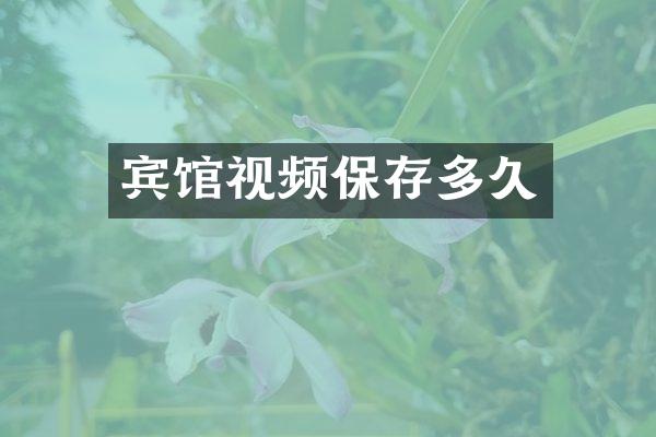 宾馆视频保存多久