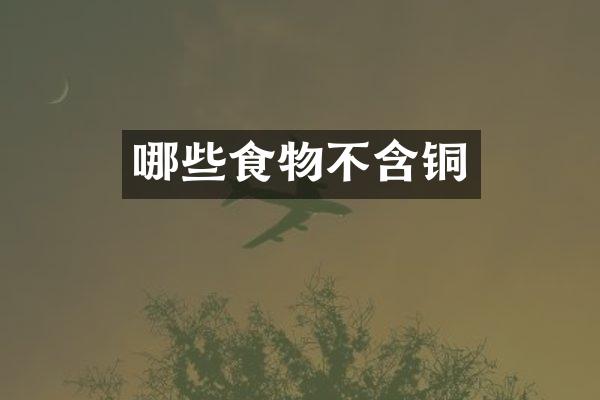 哪些食物不含铜