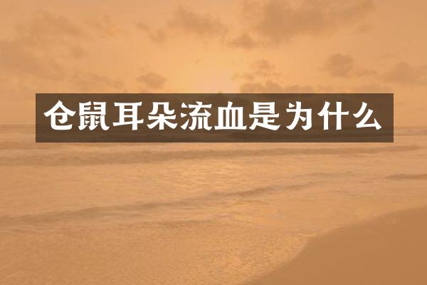 仓鼠耳朵流血是为什么