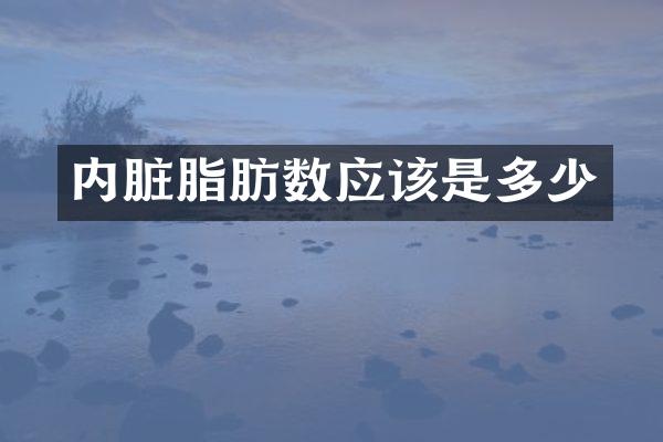 内脏脂肪数应该是多少