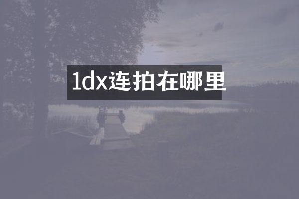 1dx连拍在哪里