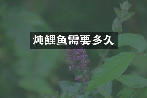 炖鲤鱼需要多久
