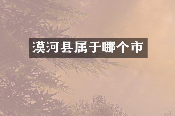 漠河县属于哪个市
