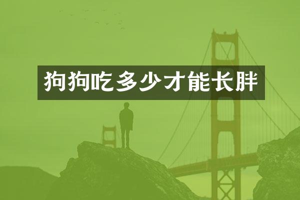 狗狗吃多少才能长胖