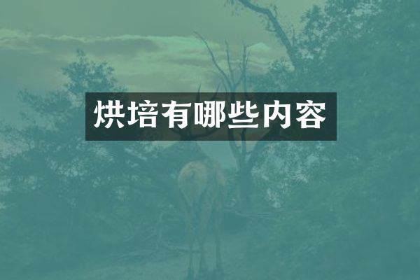 烘培有哪些内容