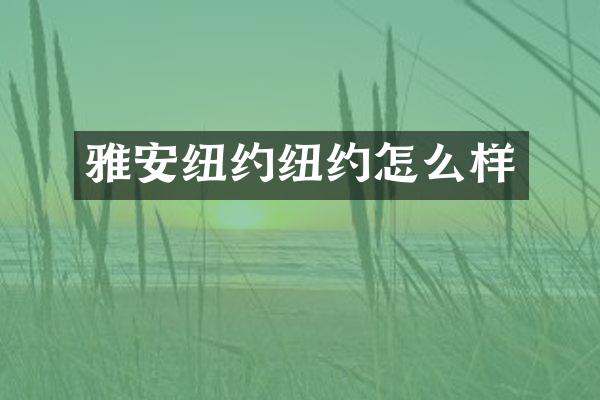 雅安纽约纽约怎么样