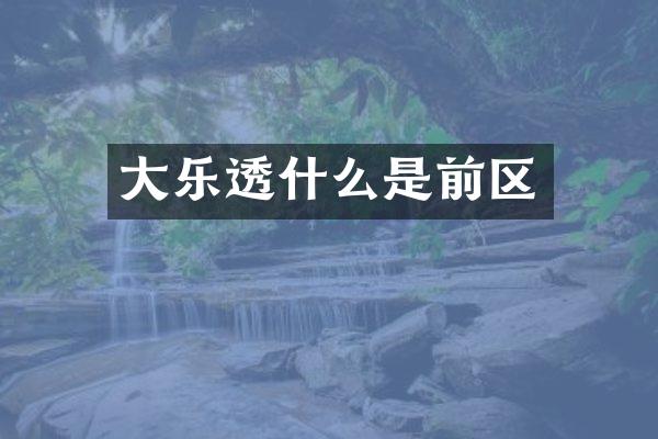 大什么是前区