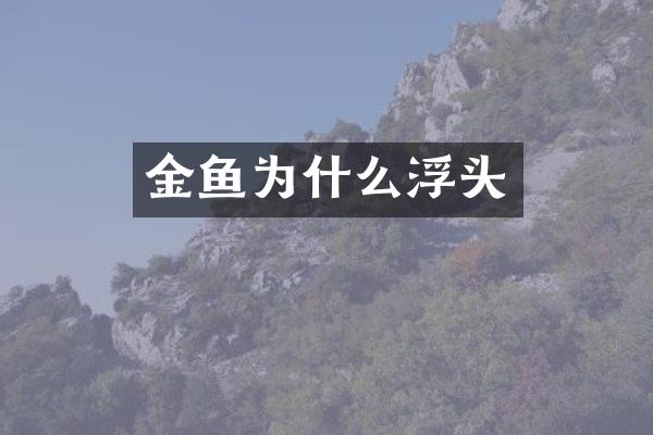 金鱼为什么浮头
