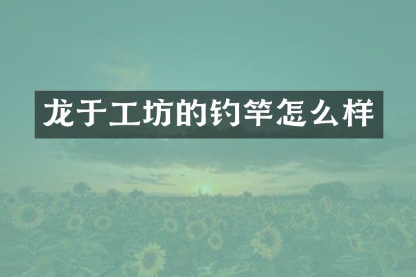 龙于工坊的钓竿怎么样