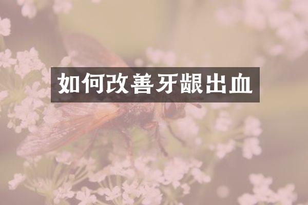 如何改善牙龈出血