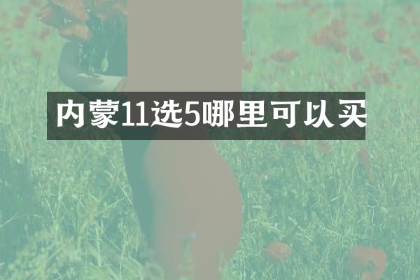 内蒙11选5哪里可以买