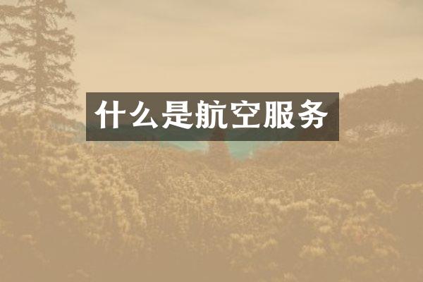 什么是航空服务