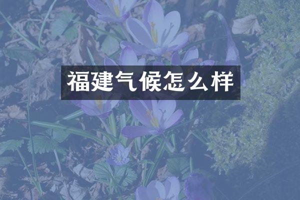 福建气候怎么样