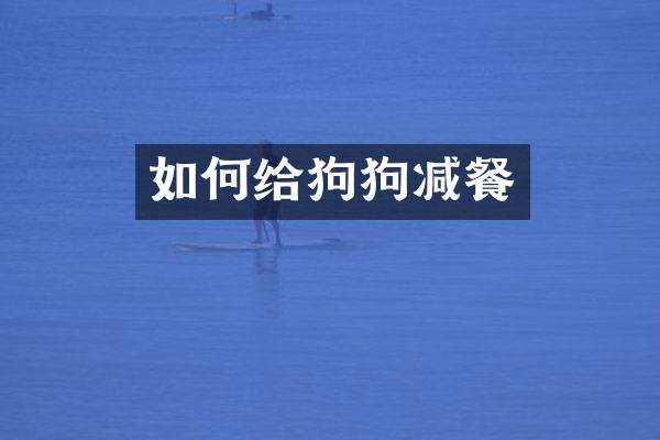 如何给狗狗减餐
