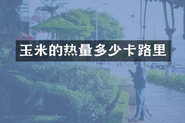 玉米的热量多少卡路里