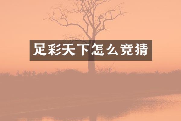 足彩天下怎么竞猜