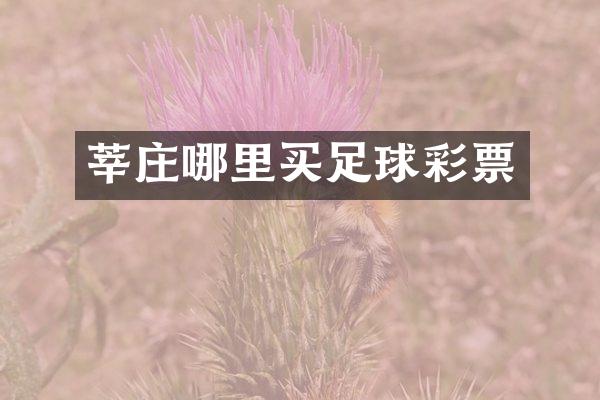 莘庄哪里买足球彩票
