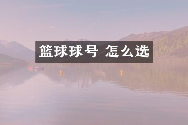 篮球球号 怎么选