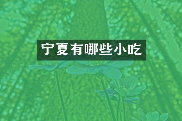 宁夏有哪些小吃