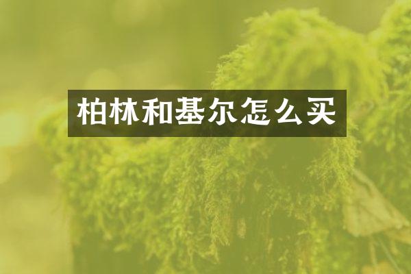 柏林和基尔怎么买