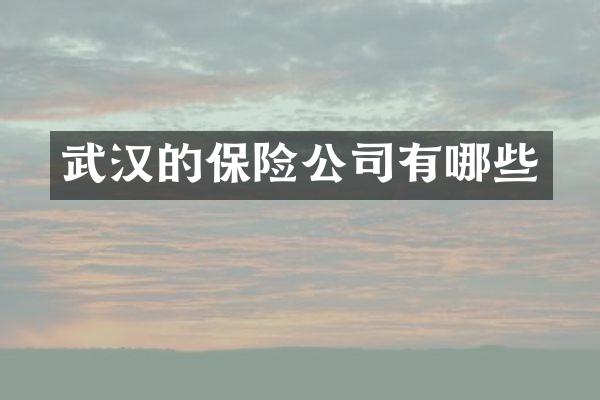 武汉的保险公司有哪些