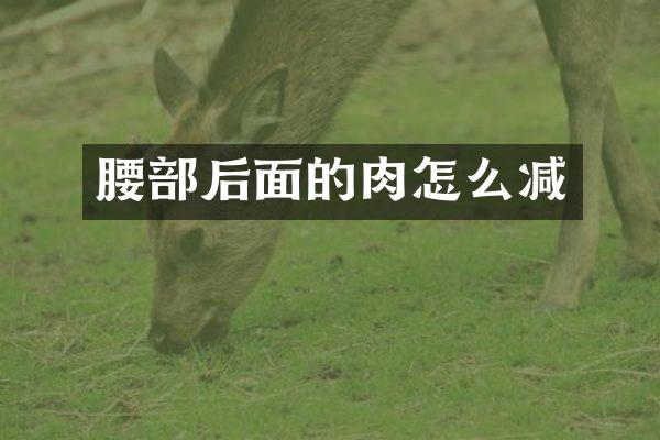 腰部后面的肉怎么减