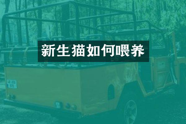 新生猫如何喂养