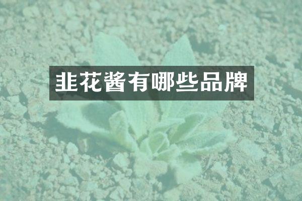 韭花酱有哪些品牌