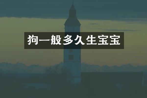 狗一般多久生宝宝