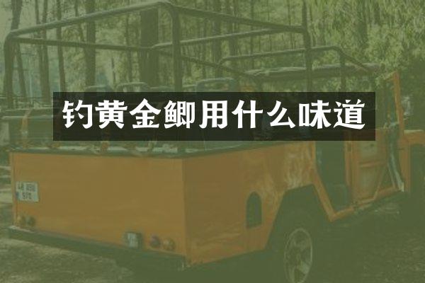 钓黄金鲫用什么味道