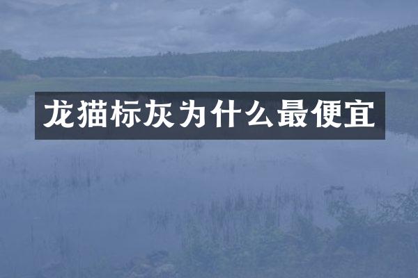 龙猫标灰为什么最便宜