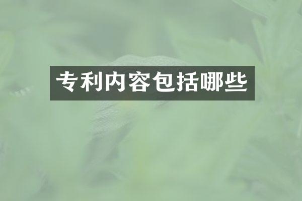 专利内容包括哪些