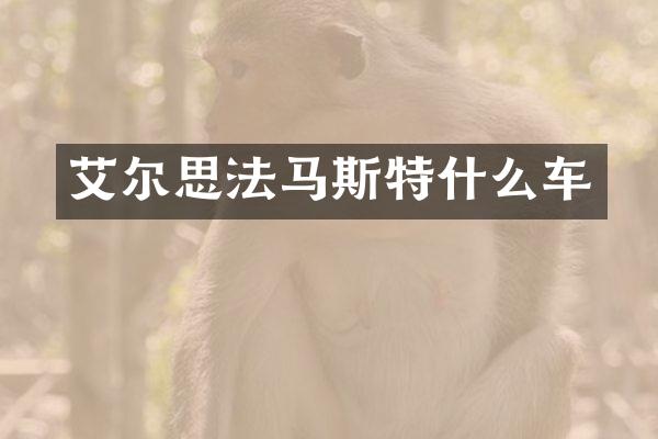 艾尔思法马斯特什么车