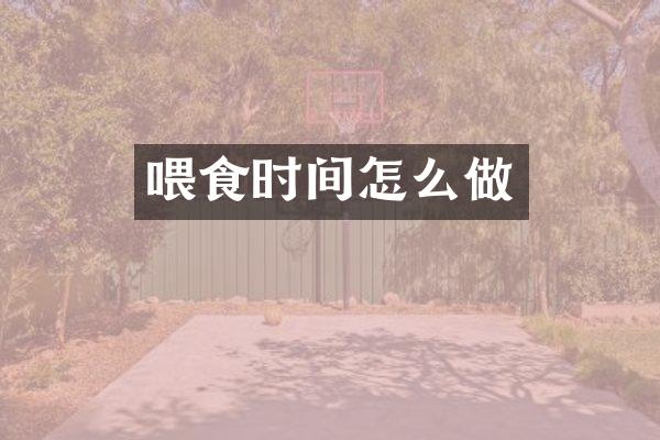 喂食时间怎么做