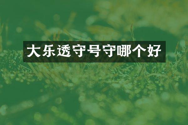 大守号守哪个好
