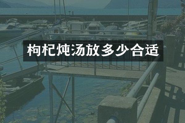 枸杞炖汤放多少合适