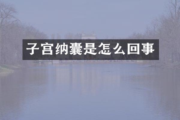 子宫纳囊是怎么回事